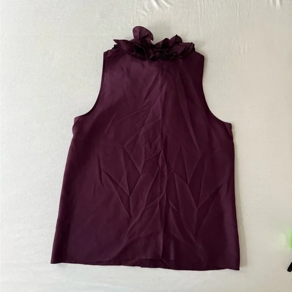 JCREW 100% Silk Rich Purple Ruffled Sleeveless Blouse - Picture 8 of 8
